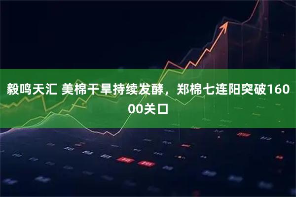 毅鸣天汇 美棉干旱持续发酵，郑棉七连阳突破16000关口