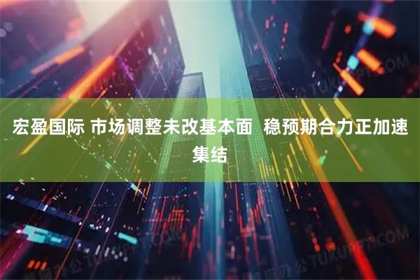 宏盈国际 市场调整未改基本面  稳预期合力正加速集结